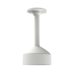 Pendant Mount