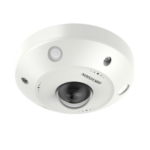 Mobile Fisheye Network Camera