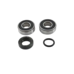 B-kit maintenance impeller pump