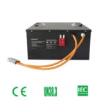 Electric Three Wheel Tricycles Lithium Battery 48V 100ah Lifepo4 Battery