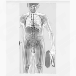 CONPASS SMART TR · Prisoners screening - Image 4